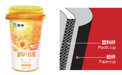 cup-6.jpg