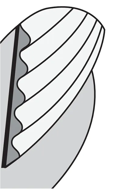 index-14.webp